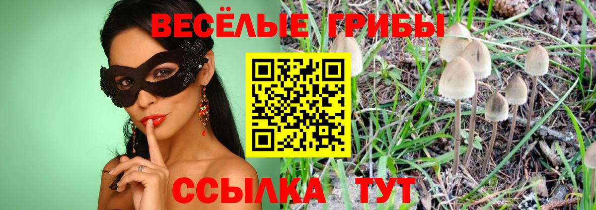 Псилоцибиновые грибы Cubensis  Вход с VPN  хочу наркоту  Грозный  Галлюциногенные грибы Magic Shrooms 