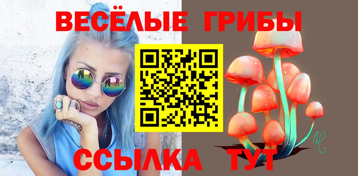 Псилоцибиновые грибы Psilocybine cubensis Грозный